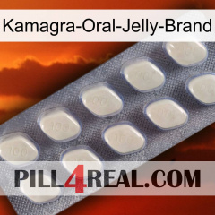 Kamagra-Oral-Jelly-Brand 08